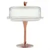 Cake Stand & Dome