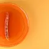 Glass Charger - Image 4