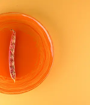 Glass Charger - Image 4
