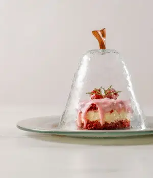 Glass Food Cover - Image 4