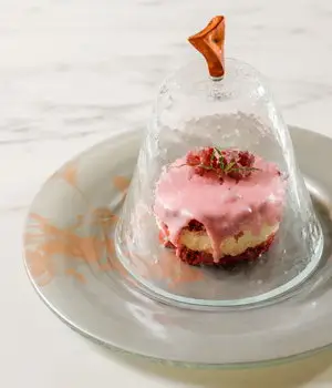 Glass Food Cover - Image 5