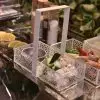 Table Caddy - Image 6