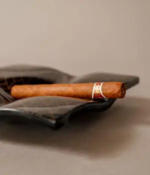Ashtray - Image 5