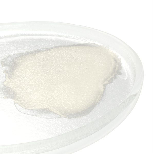Modern Appetizer Plates - Side Plates | MyGlassStudio - Detail View