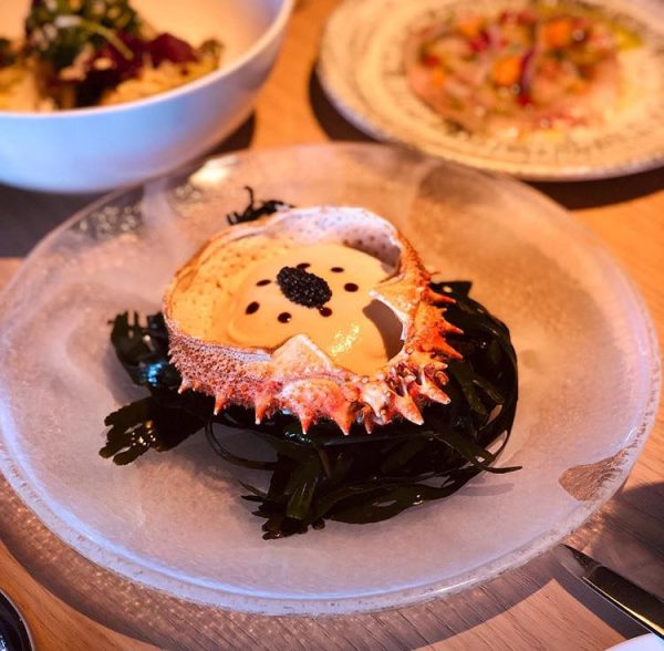 Salad Plate - Image 6