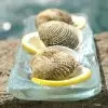 Oyster Tray - Image 4
