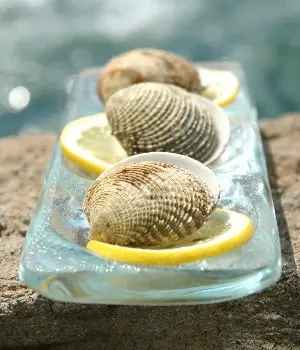 Oyster Tray - Image 4