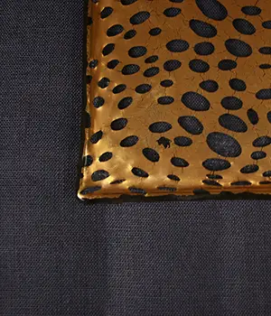 Sushi Plate - Image 5