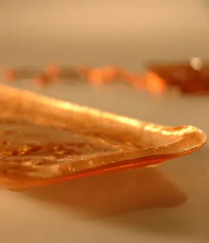 Sushi Plate - Image 4