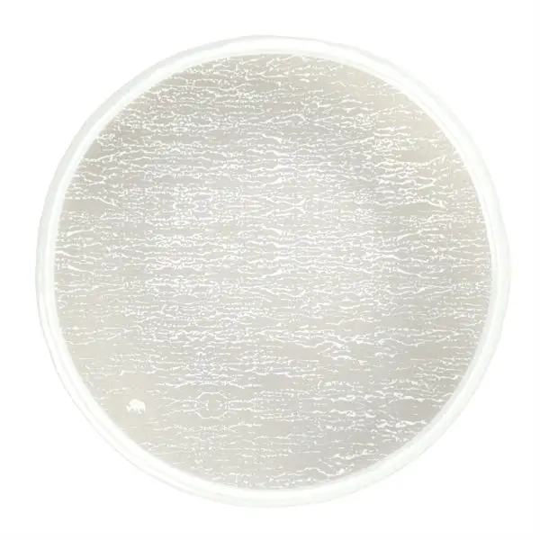 Tapas Plates - Side Plates | MyGlassStudio - 3/4 View