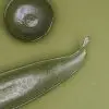 Fruit Bowl - Image 4