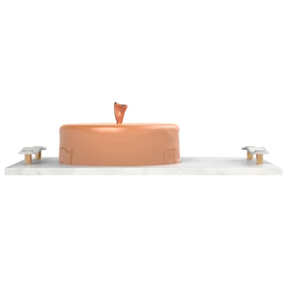 Dome Plate Cover - Image 3