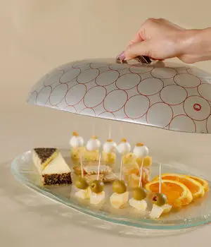 Dome Plate Cover - Image 5