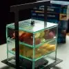 Bento Box - Image 5